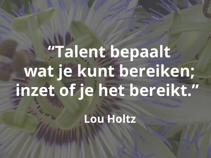 Waarom talentmanagement in het bedrijfsleven nodig is